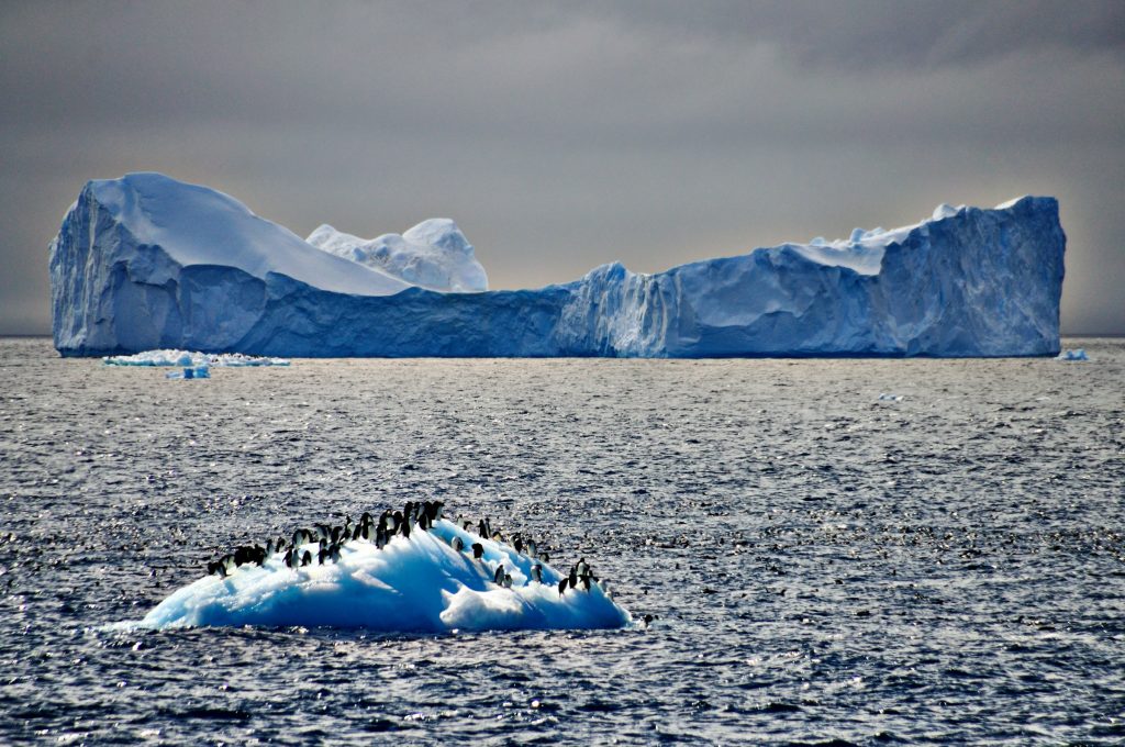glaciar con pinguinos Antártida
